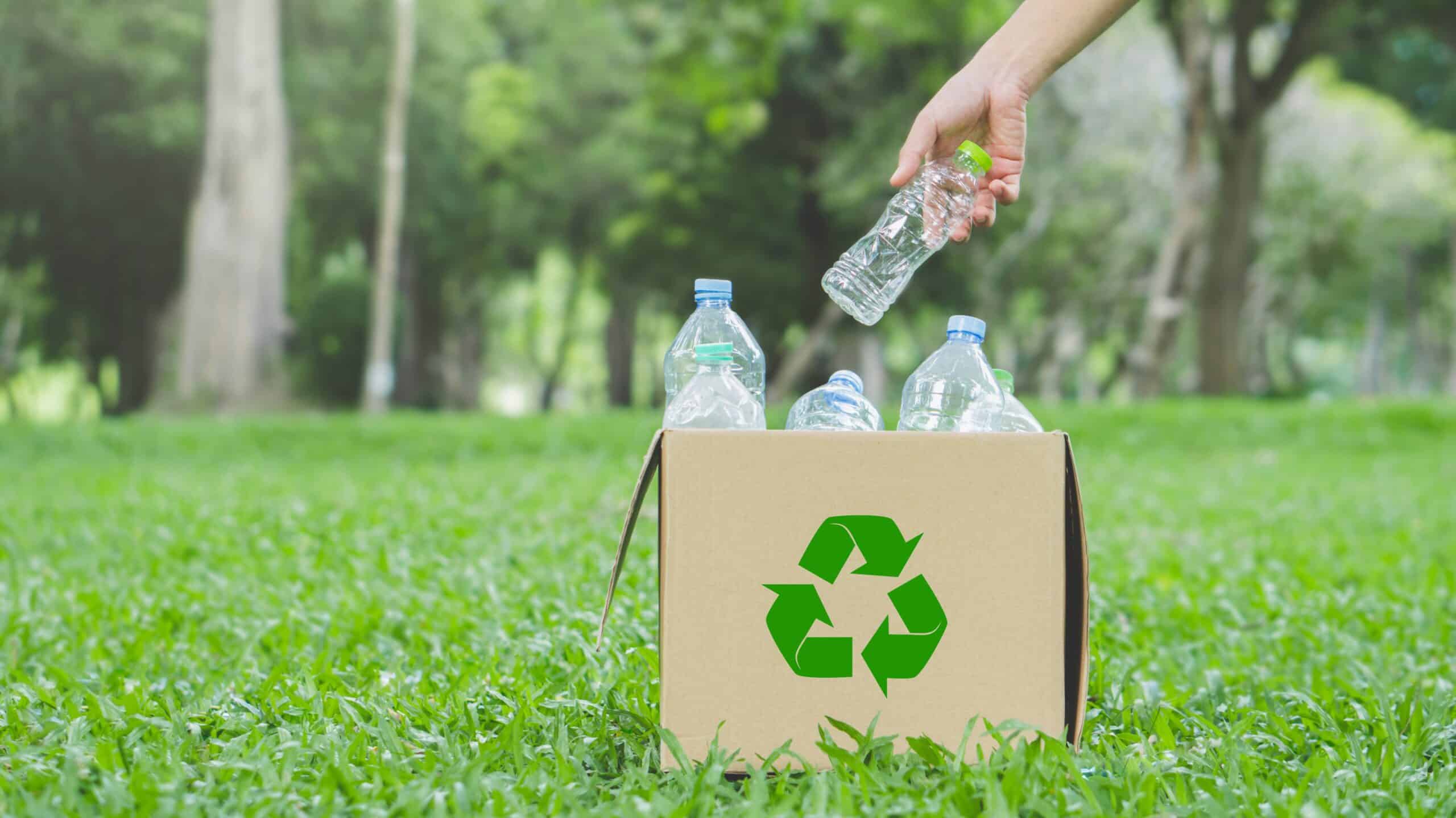 Ein Karton mit Recycling-Symbol gefüllt mit Plastikflaschen auf einer Wiese, eine Hand fügt eine weitere Flasche hinzu.